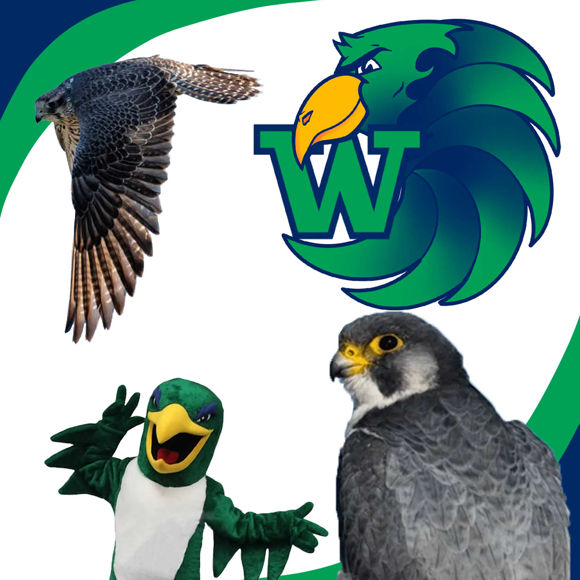 WHS identity slide 3
